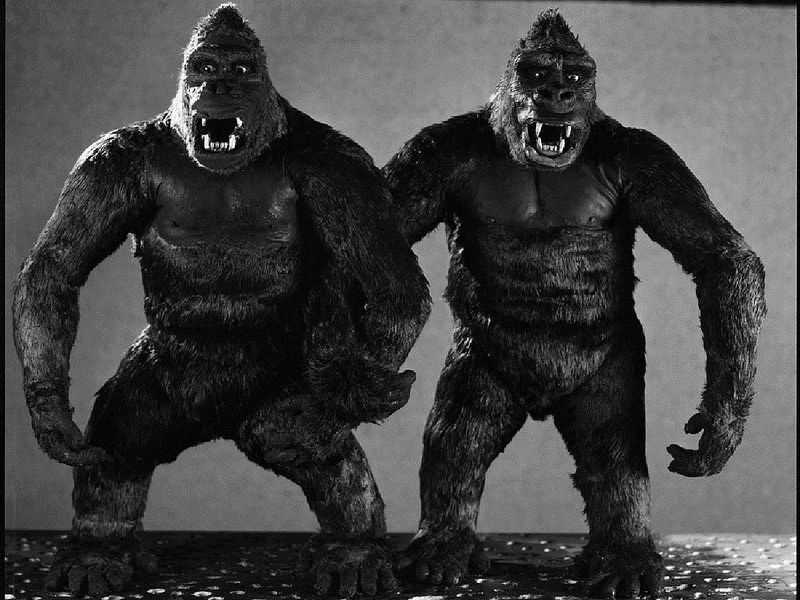 File:Kong333.jpeg
