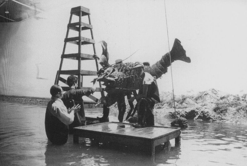 File:EHOTD - Setting Up for Ebirah.jpg