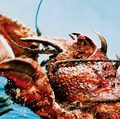 Thumbnail for version as of 23:41, 20 May 2019