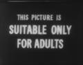 Thumbnail for version as of 04:10, 4 March 2024