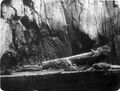 Thumbnail for version as of 02:22, 18 March 2023