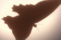 Thumbnail for version as of 21:25, 11 January 2019