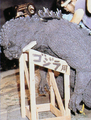 Thumbnail for version as of 01:08, 11 September 2017