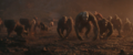 Thumbnail for version as of 21:36, 21 May 2024