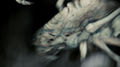 Thumbnail for version as of 13:00, 2 August 2017