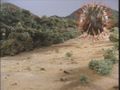 Thumbnail for version as of 04:38, 3 August 2016