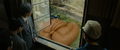 Thumbnail for version as of 21:36, 9 February 2025