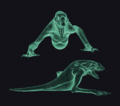 Thumbnail for version as of 22:32, 25 October 2024