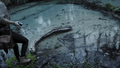 Thumbnail for version as of 00:12, 27 July 2024