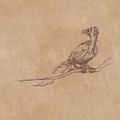 Thumbnail for version as of 14:41, 19 March 2019