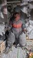 Thumbnail for version as of 15:25, 21 March 2025