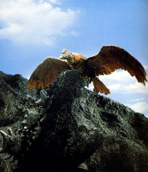 File:Condor002.jpg