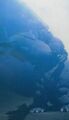Thumbnail for version as of 15:09, 13 December 2024