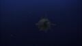Thumbnail for version as of 21:41, 25 January 2025