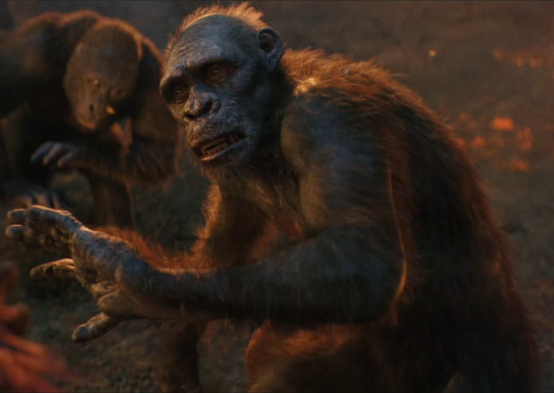 File:Gnarled Finger.png