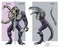 Thumbnail for version as of 05:38, 26 July 2016