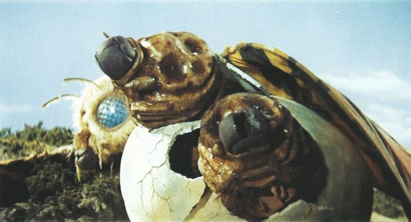 File:BabyMosuHatching.jpg