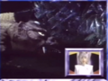 Thumbnail for version as of 15:27, 9 September 2024