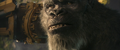 Thumbnail for version as of 17:31, 12 May 2024