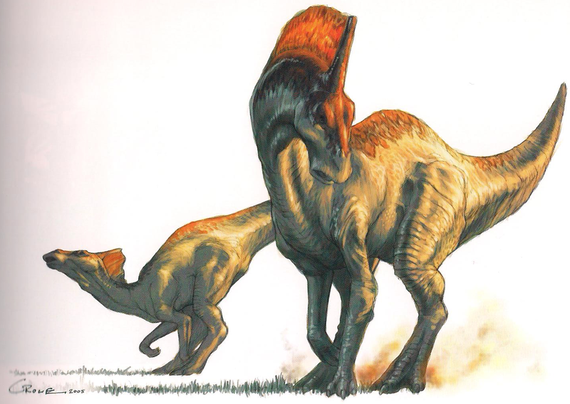 File:Ligocristus 2.png