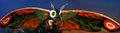 Thumbnail for version as of 19:06, 23 July 2016