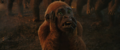 Thumbnail for version as of 23:39, 18 May 2024