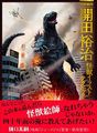Thumbnail for version as of 20:08, 18 July 2017