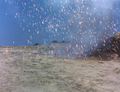 Thumbnail for version as of 23:28, 7 July 2016