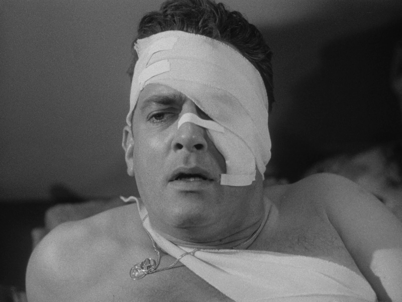 File:Godzilla-King-of-the-Monsters-Raymond-Burr-wounded.png