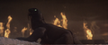 Thumbnail for version as of 15:30, 24 March 2018