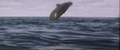Thumbnail for version as of 19:26, 23 July 2016
