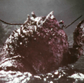 Thumbnail for version as of 23:41, 20 May 2019
