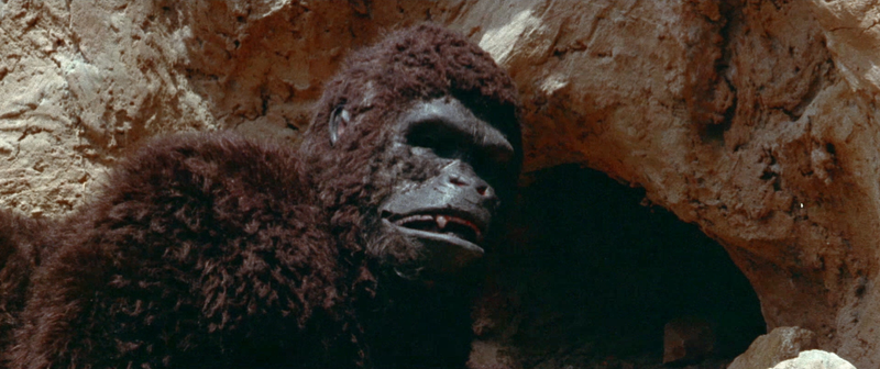 File:APE-South-Korea-February-2020-08.png