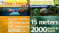 Thumbnail for version as of 15:59, 6 December 2022