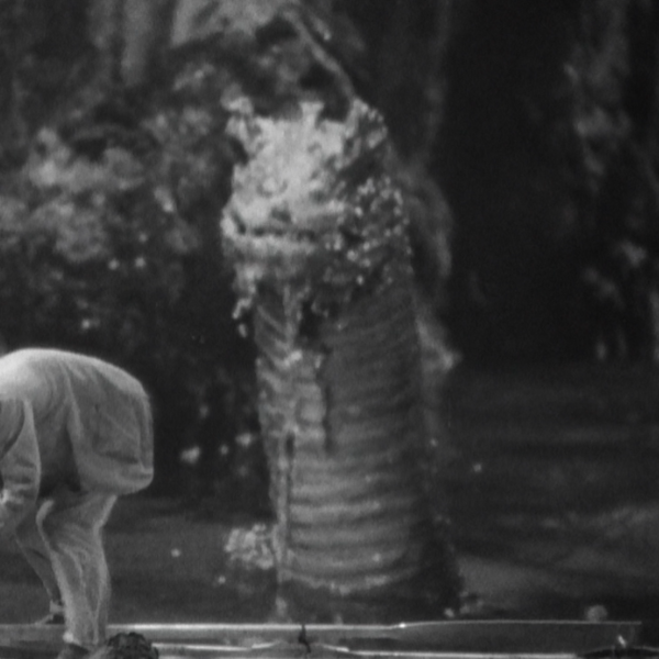 File:Sea Serpent.png
