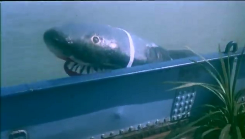 File:Lady-Jaws.png