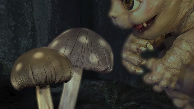 File:M u s h r o o m s.png