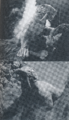 Thumbnail for version as of 20:46, 5 May 2019