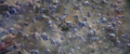 Thumbnail for version as of 19:32, 4 August 2024