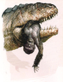 Thumbnail for version as of 19:20, 20 January 2018