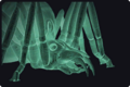 Thumbnail for version as of 22:32, 25 October 2024