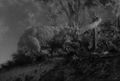 Thumbnail for version as of 19:43, 27 June 2017
