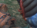 Thumbnail for version as of 23:20, 7 July 2016