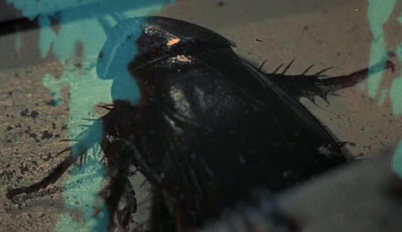 File:M Space Hunter Nebula Alien - True Form (2).jpg