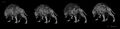 Thumbnail for version as of 14:37, 16 October 2021