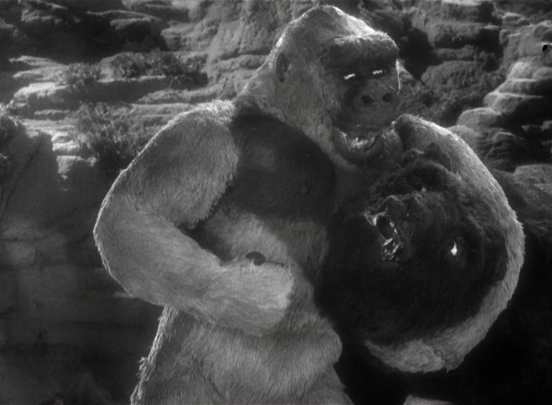 File:BD Bear fight 2.png