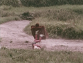 Thumbnail for version as of 17:59, 23 July 2016
