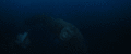 Thumbnail for version as of 17:35, 18 May 2022