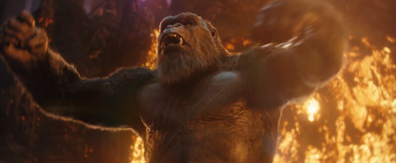 File:GxK - Kong 23.jpg