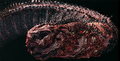 Thumbnail for version as of 06:07, 6 January 2019